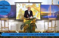 3.3 Der große Kampf in der Wüste – DER VOGELKÄFIG | Pastor Mag. Kurt Piesslinger